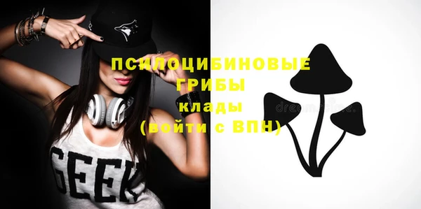 spice Володарск