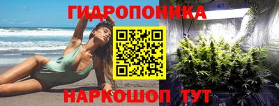 PSILOCYBIN Гусь-Хрустальный