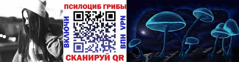 цены   Каменск-Шахтинский  Псилоцибиновые грибы Cubensis 